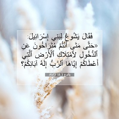Picture 07 - يَشُوع 18:3 AVD - فَقَالَ يَشُوعُ لِبَنِي - Bible Verse Picture