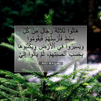 Picture 07 - يَشُوع 18:4 AVD - هَاتُوا ثَلَاثَةَ رِجَالٍ - Bible Verse Picture