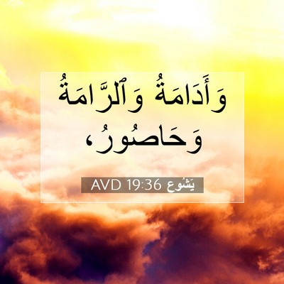 Picture 07 - يَشُوع 19:36 AVD - وَأَدَامَةُ وَٱلرَّامَةُ - Bible Verse Picture