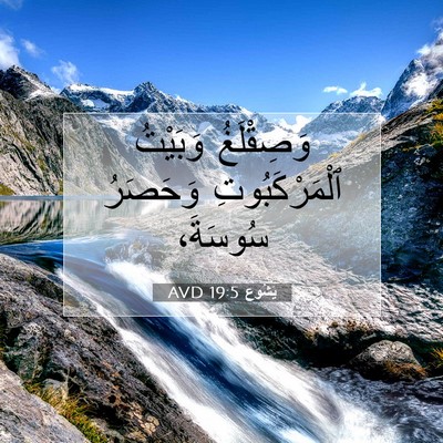 Picture 07 - يَشُوع 19:5 AVD - وَصِقْلَغُ وَبَيْتُ - Bible Verse Picture