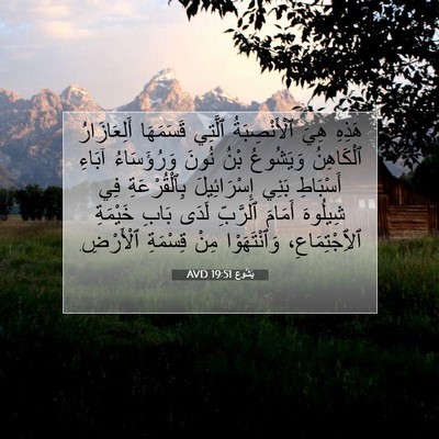 Picture 07 - يَشُوع 19:51 AVD - هَذِهِ هِيَ ٱلْأَنْصِبَةُ - Bible Verse Picture