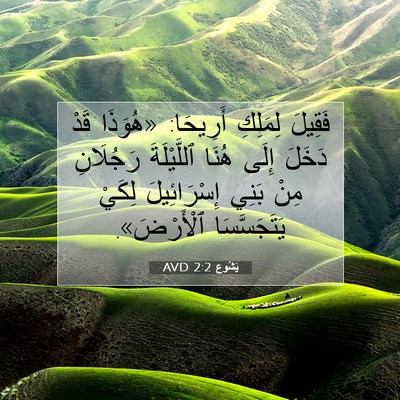 Picture 07 - يَشُوع 2:2 AVD - فَقِيلَ لِمَلِكِ أَرِيحَا: - Bible Verse Picture