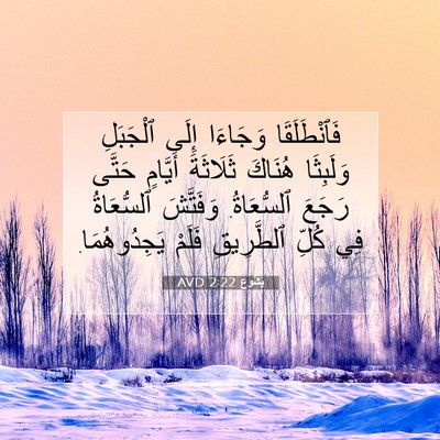 Picture 07 - يَشُوع 2:22 AVD - فَٱنْطَلَقَا وَجَاءَا - Bible Verse Picture