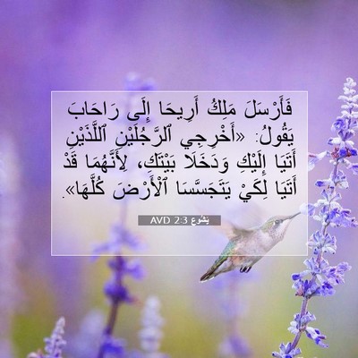 Picture 07 - يَشُوع 2:3 AVD - فَأَرْسَلَ مَلِكُ - Bible Verse Picture