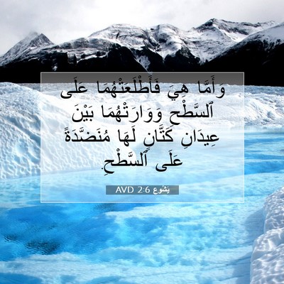 Picture 07 - يَشُوع 2:6 AVD - وَأَمَّا هِيَ - Bible Verse Picture