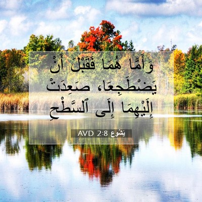Picture 07 - يَشُوع 2:8 AVD - وَأَمَّا هُمَا فَقَبْلَ - Bible Verse Picture
