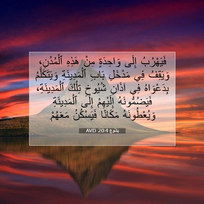 Picture 07 - يَشُوع 20:4 AVD - فَيَهْرُبُ إِلَى - Bible Verse Picture
