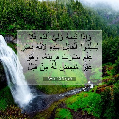 Picture 07 - يَشُوع 20:5 AVD - وَإِذَا تَبِعَهُ وَلِيُّ - Bible Verse Picture