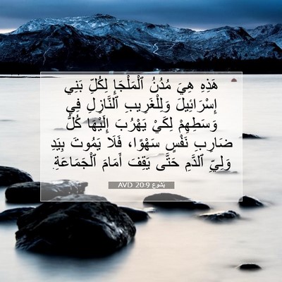 Picture 07 - يَشُوع 20:9 AVD - هَذِهِ هِيَ مُدُنُ - Bible Verse Picture
