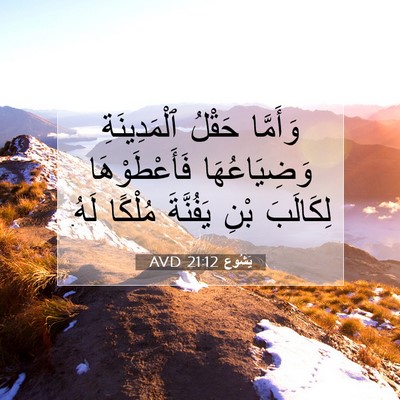 Picture 07 - يَشُوع 21:12 AVD - وَأَمَّا حَقْلُ - Bible Verse Picture