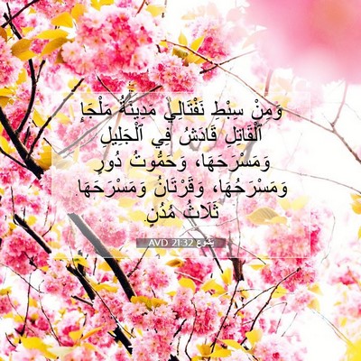 Picture 07 - يَشُوع 21:32 AVD - وَمِنْ سِبْطِ نَفْتَالِي - Bible Verse Picture