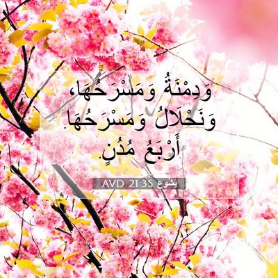 Picture 07 - يَشُوع 21:35 AVD - وَدِمْنَةُ وَمَسْرَحُهَا، - Bible Verse Picture