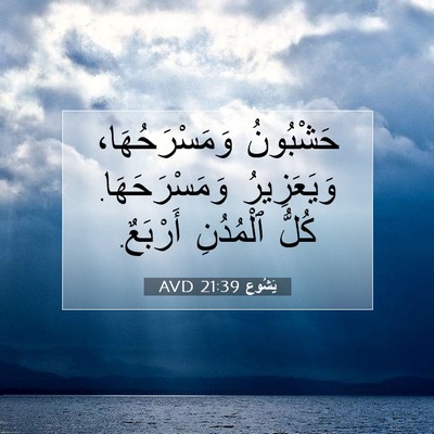 Picture 07 - يَشُوع 21:39 AVD - حَشْبُونُ وَمَسْرَحُهَا، - Bible Verse Picture