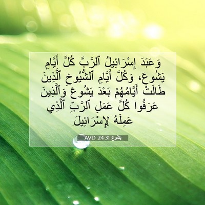 Picture 07 - يَشُوع 24:31 AVD - وَعَبَدَ إِسْرَائِيلُ - Bible Verse Picture