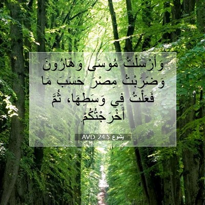 Picture 07 - يَشُوع 24:5 AVD - وَأَرْسَلْتُ مُوسَى - Bible Verse Picture