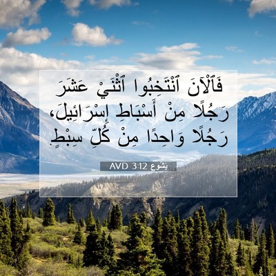 Picture 07 - يَشُوع 3:12 AVD - فَٱلْآنَ ٱنْتَخِبُوا - Bible Verse Picture