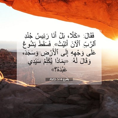 Picture 07 - يَشُوع 5:14 AVD - فَقَالَ: «كَلَّا، بَلْ - Bible Verse Picture