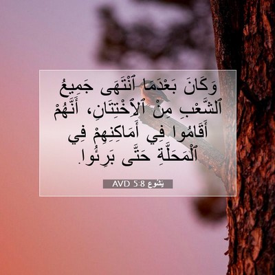 Picture 07 - يَشُوع 5:8 AVD - وَكَانَ بَعْدَمَا - Bible Verse Picture