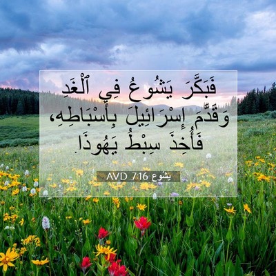 Picture 07 - يَشُوع 7:16 AVD - فَبَكَّرَ يَشُوعُ فِي - Bible Verse Picture
