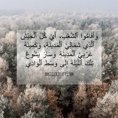 Picture 07 - يَشُوع 8:13 AVD - وَأَقَامُوا ٱلشَّعْبَ، - Bible Verse Picture