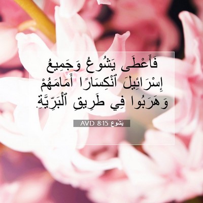 Picture 07 - يَشُوع 8:15 AVD - فَأَعْطَى يَشُوعُ - Bible Verse Picture