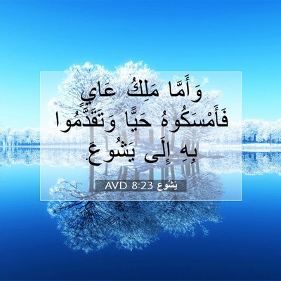 Picture 07 - يَشُوع 8:23 AVD - وَأَمَّا مَلِكُ عَايٍ - Bible Verse Picture