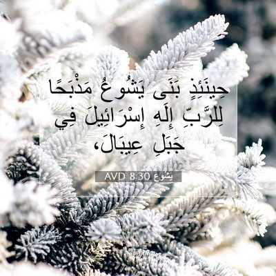 Picture 07 - يَشُوع 8:30 AVD - حِينَئِذٍ بَنَى يَشُوعُ - Bible Verse Picture