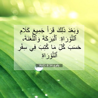 Picture 07 - يَشُوع 8:34 AVD - وَبَعْدَ ذَلِكَ قَرَأَ - Bible Verse Picture