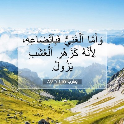 Picture 07 - يَعقُوب 1:10 AVD - وَأَمَّا ٱلْغَنِيُّ - Bible Verse Picture