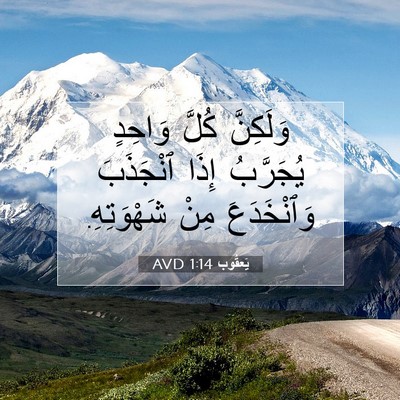 Picture 07 - يَعقُوب 1:14 AVD - وَلَكِنَّ كُلَّ وَاحِدٍ - Bible Verse Picture
