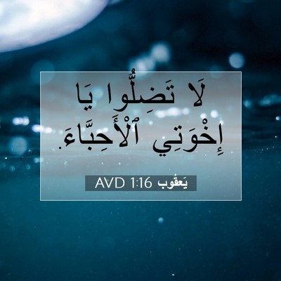 Picture 07 - يَعقُوب 1:16 AVD - لَا تَضِلُّوا يَا - Bible Verse Picture