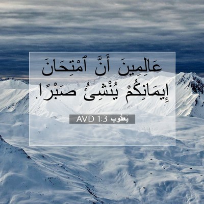 Picture 07 - يَعقُوب 1:3 AVD - عَالِمِينَ أَنَّ - Bible Verse Picture