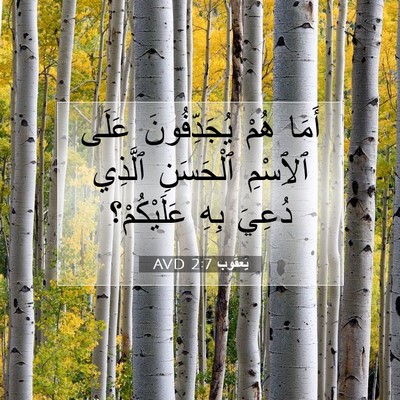 Picture 07 - يَعقُوب 2:7 AVD - أَمَا هُمْ يُجَدِّفُونَ - Bible Verse Picture