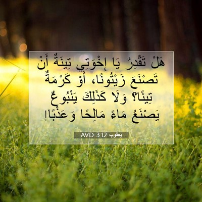 Picture 07 - يَعقُوب 3:12 AVD - هَلْ تَقْدِرُ يَا - Bible Verse Picture