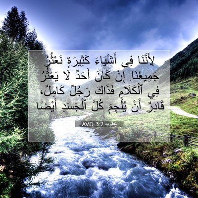 Picture 07 - يَعقُوب 3:2 AVD - لِأَنَّنَا فِي أَشْيَاءَ - Bible Verse Picture