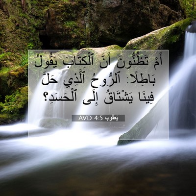 Picture 07 - يَعقُوب 4:5 AVD - أَمْ تَظُنُّونَ أَنَّ - Bible Verse Picture