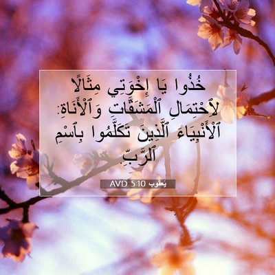 Picture 07 - يَعقُوب 5:10 AVD - خُذُوا يَا إِخْوَتِي - Bible Verse Picture
