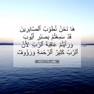 Picture 07 - يَعقُوب 5:11 AVD - هَا نَحْنُ نُطَوِّبُ - Bible Verse Picture