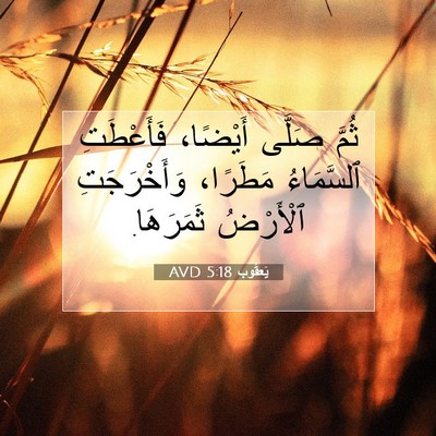 Picture 07 - يَعقُوب 5:18 AVD - ثُمَّ صَلَّى أَيْضًا، - Bible Verse Picture