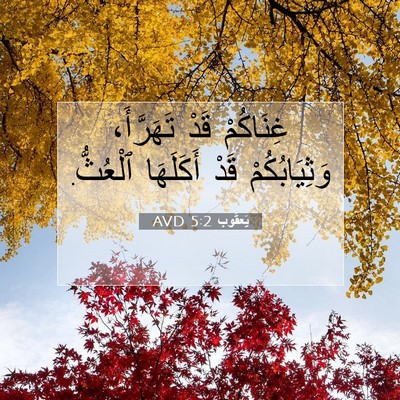 Picture 07 - يَعقُوب 5:2 AVD - غِنَاكُمْ قَدْ تَهَرَّأَ، - Bible Verse Picture