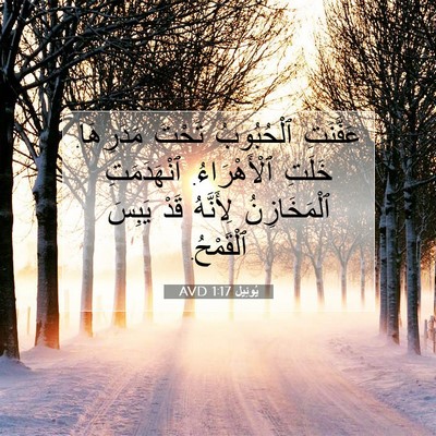 Picture 07 - يُوئِيل 1:17 AVD - عَفَّنَتِ ٱلْحُبُوبُ - Bible Verse Picture