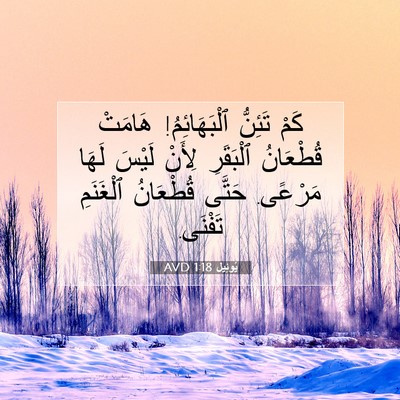 Picture 07 - يُوئِيل 1:18 AVD - كَمْ تَئِنُّ ٱلْبَهَائِمُ! - Bible Verse Picture