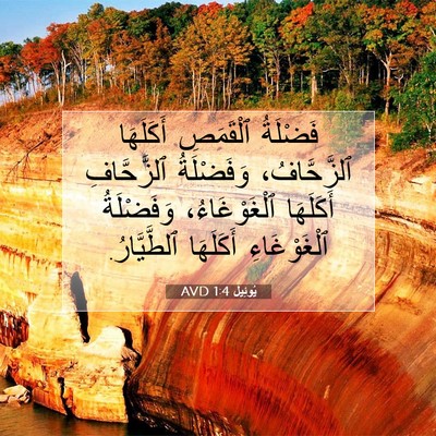 Picture 07 - يُوئِيل 1:4 AVD - فَضْلَةُ ٱلْقَمَصِ - Bible Verse Picture