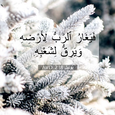 Picture 07 - يُوئِيل 2:18 AVD - فَيَغَارُ ٱلرَّبُّ - Bible Verse Picture