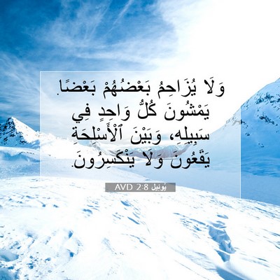 Picture 07 - يُوئِيل 2:8 AVD - وَلَا يُزَاحِمُ - Bible Verse Picture