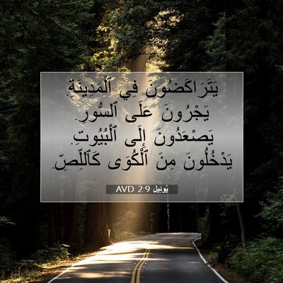 Picture 07 - يُوئِيل 2:9 AVD - يَتَرَاكَضُونَ فِي - Bible Verse Picture