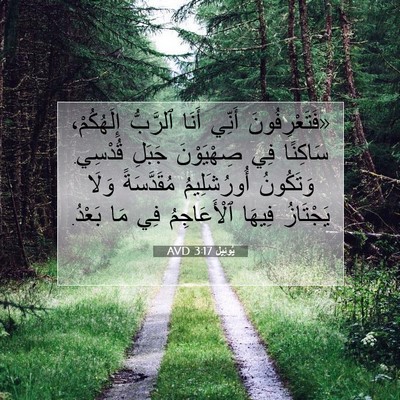 Picture 07 - يُوئِيل 3:17 AVD - «فَتَعْرِفُونَ أَنِّي - Bible Verse Picture
