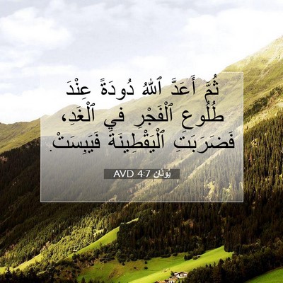 Picture 07 - يُونَان 4:7 AVD - ثُمَّ أَعَدَّ ٱللهُ - Bible Verse Picture