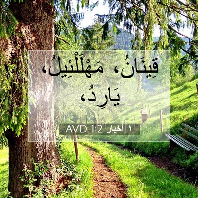 Picture 07 - ١ أخبار 1:2 AVD - قِينَانُ، مَهْلَلْئِيلُ، - Bible Verse Picture