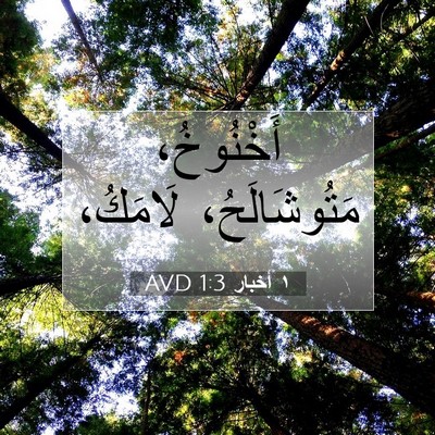 Picture 07 - ١ أخبار 1:3 AVD - أَخْنُوخُ، مَتُوشَالَحُ، - Bible Verse Picture